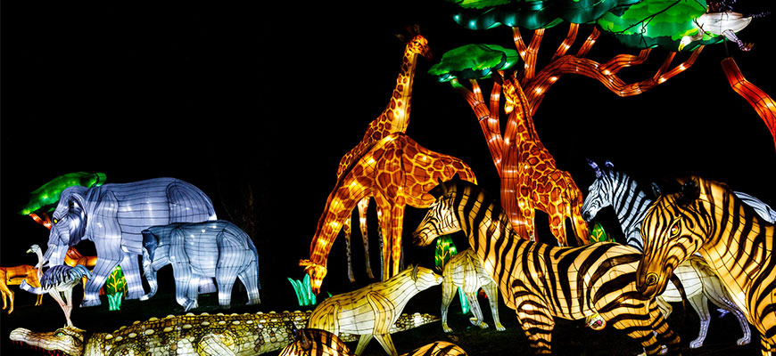 banner - variety of wild lights animals, blue elephants; yellow, orange, brown giraffes, yellow w/blk stripes zebras, blue zebra, yellow leopards, large brown alligator, blue ostrich, with orange brown trees, with green, aqua foliage leaves, background is all black