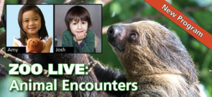 banner - in red box New Program; with photos of Amy holding a teddy bear, and Josh; ZOO LIVE:Animal Encounters, with side view of sloth with brownish grey fur looking at the kids' photo