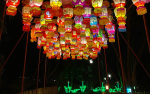 photo of variety of wild lights lanterns, different shapes, colors, designs hanging from the mesh cover