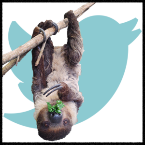 Sloth Twitter Logo