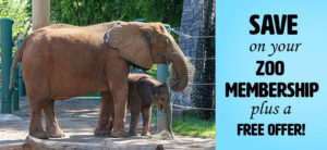 Zoo membership banner with Mikki and Fitz