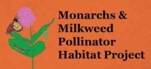 Monarchs and Milkweed vector image/pollinator habitat project