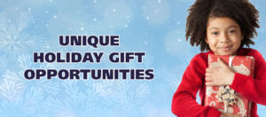 Holiday gift opportunities banner