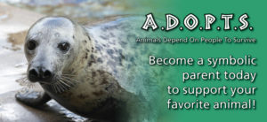 ADOPTS animal adoptions with seal