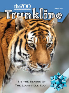 Trunkline_2021-12-01