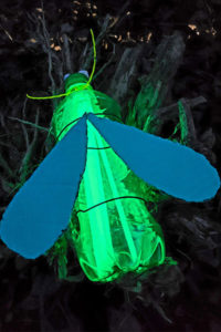 Party for the Planet: trashformation bottle bug