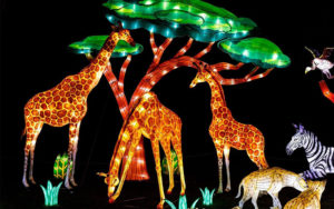 Wild Lights giraffes, zebras and hyenas