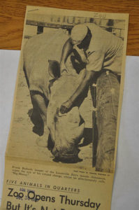 Frank Bullock caring for Rhino