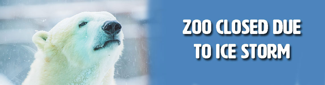 Inclement weather banner - zoo closed due to ice storm