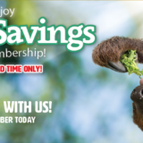 Zoo Membership discount banner