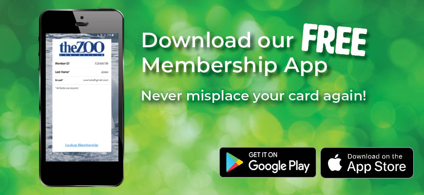 Download the membership app header