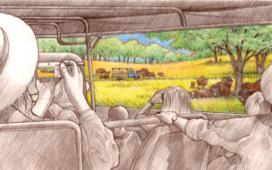 Sketch of Kentucky Trails safari tour