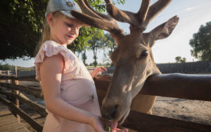 Kentucky Trails, girl feeding elk