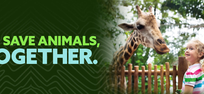 We save animals together banner girl with giraffe
