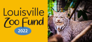 Annual Zoo Fund 2022 Banner with Lynx