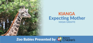 Kianga expecting mother banner