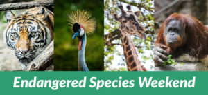Endangered species weekend banner 870 x 400