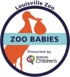 Zoo Babies logo