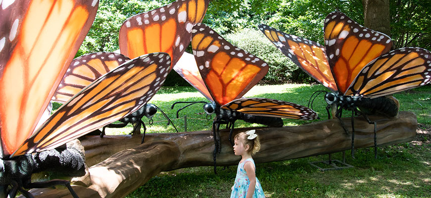 IncrediBUGS, girl looking at monarch butterfly display