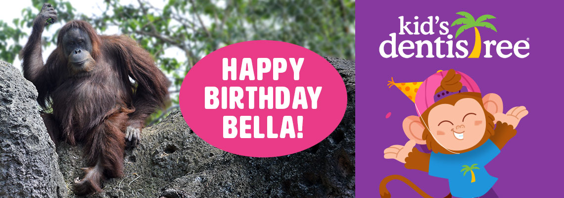Happy Birthday Bella Sponsored by Kid's Dentistree Banner