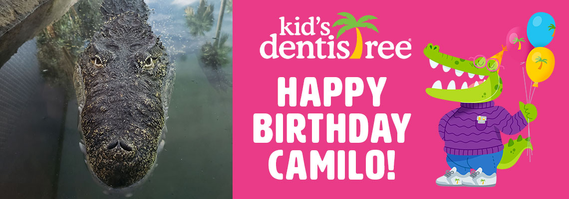 Happy Birthday Camilo Sponsored by Kid's Dentistree Banner