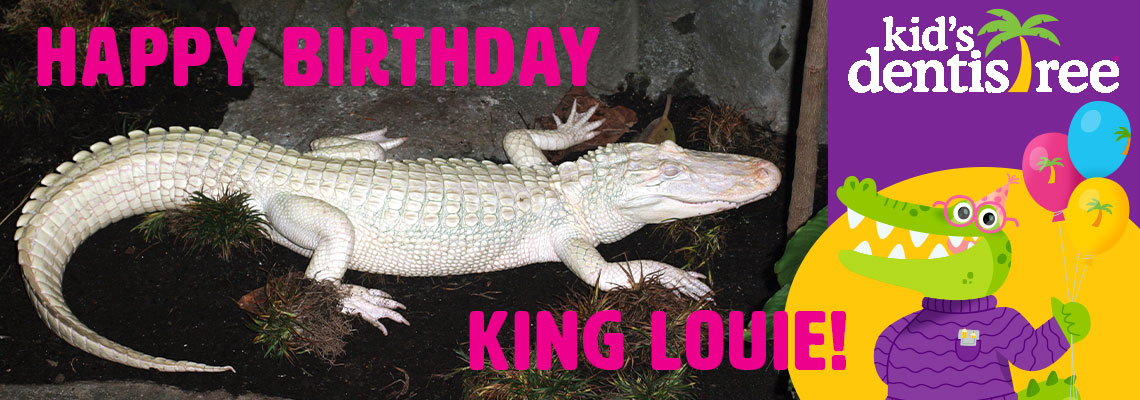 Happy Birthday King Louie Sponsored by Kid's Dentistree Banner