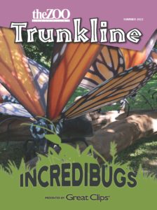 Trunkline Summer 2022 cover - Incredibugs presented by Great Clips