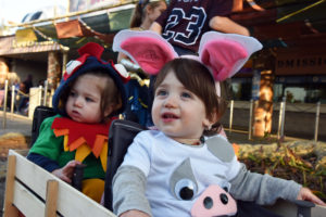 photo of 2 children riding in a wagon, one in a moana pig costume, one in moana chicken costume for halloween boo at the zoo.