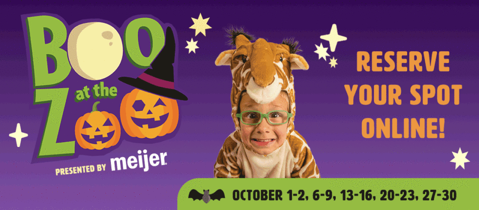 2022 08 19 Boo At The Zoo Homepage Banner NewMeijer 980x430 