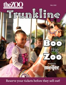 banner - theZOO, Louisville, Fall 2022, Trunkline, Boo at the Zoo, presented by meijer. Reserve your tickets before they sell out! Little girl in pink fairy costume, with pink wings, riding giraffe on carousel