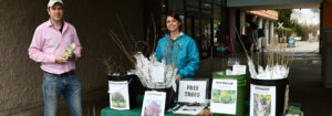 photo - Trees giveaway, with 2 individuals surrounded by buckets of different seedling trees given to public for free,
