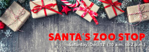 banner - Santa's Zoo Stop, Saturday, Dec. 12 (10 a.m. to 2 p.m.) with grey fence background, fence has five wrapped presents with red ribbon bows, with candy cane, snowflakes, pine cones, falling in front of fence