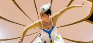 banner - female entertainer wearing white costume with blue trim, multicolored items on skirt, with large array of pink flower pedals she is wearing
