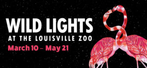 banner - Wild Lights, At The Louisville Zoo, March 10 - May 21, with two pink flamingos entwined at neck to make heart shape, black color background