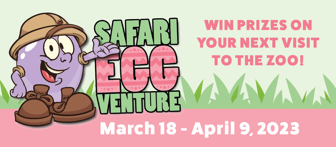 banner - Safari Egg Venture, Win Prizes On Your Next Visit To The Zoo!, March 18 - April 9, 2023, with purple egg character wearing brown hunter's helmet and two brown shoes, with light green grass background and a pink bottom border