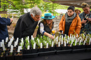 photo of visitors checking out variety of seedlings at monarchs-mimosas event 2023