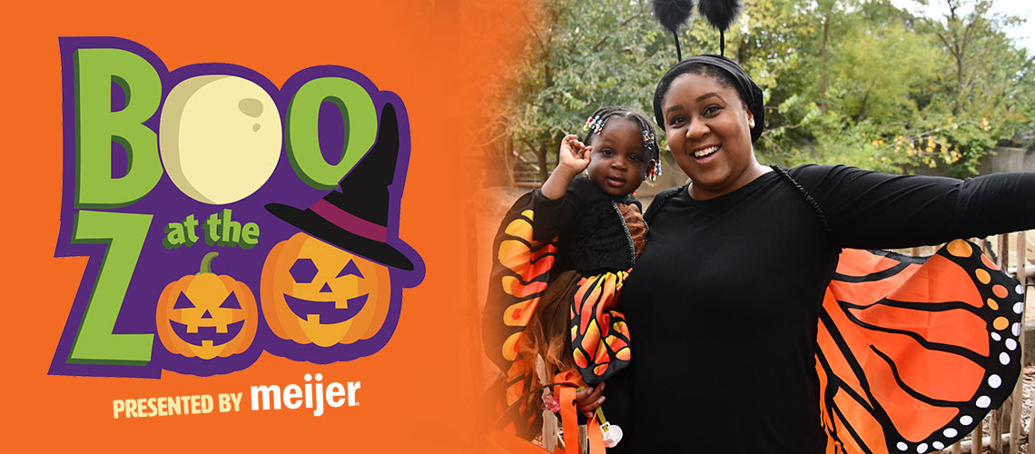 banner - Boo at the Zoo , with moon and pumpkins being some of the letter, presented by meijer. with mom and child in butterfly black, orange wings costumes, with trees in background