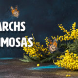 banner - Monarchs and Mimosas, with orange black butterflies, 2 long stem glasses of orange juice, with display of yellow flowers , on background of blue, blk colors