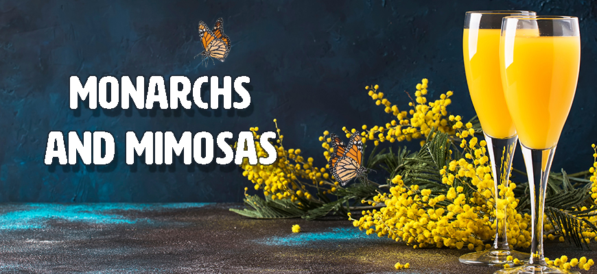 banner - Monarchs and Mimosas, with orange black butterflies, 2 long stem glasses of orange juice, with display of yellow flowers , on background of blue, blk colors