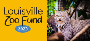 banner - Louisville Zoo Fund with 2023 in blue oblong highlight, with orange background color, with picture of Lynx facing camera, with background of inside enclosure
