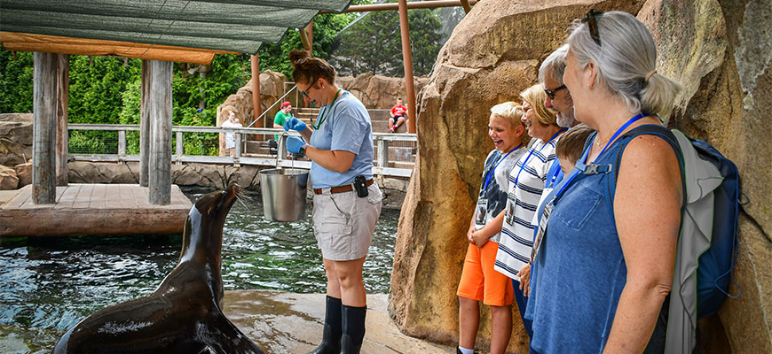 Guests on the deck of the Glacier Run pinniped exhibit watching a keeper feed a sea lion.