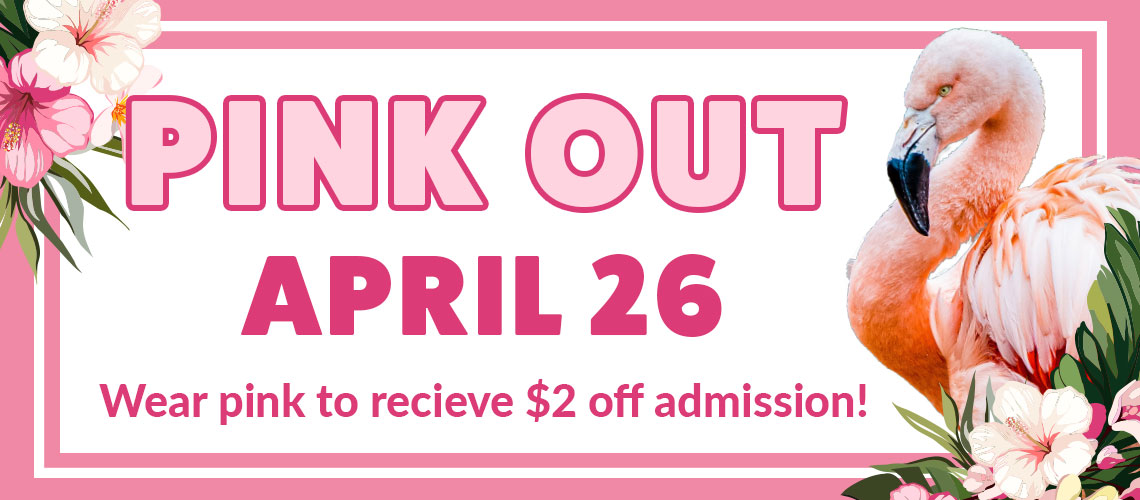 banner - Pink Our, April 26, Wear pink to receive $2 off admission! with pink and white flowers, pink flamingo sitting among white, pink flowers