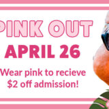 banner - Pink Our, April 26, Wear pink to receive $2 off admission! with pink, white flowers, pink flamingo with more pink and white flowers