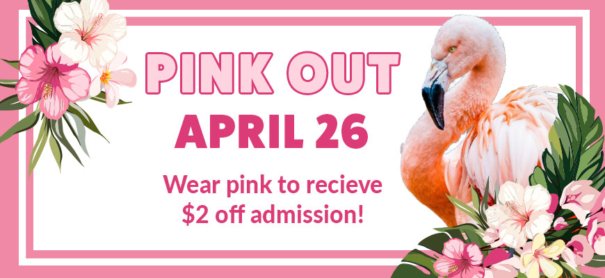 banner - Pink Our, April 26, Wear pink to receive $2 off admission! with pink, white flowers, pink flamingo with more pink and white flowers