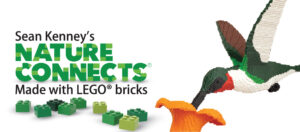 graphic - Kenney's Nature Connects e with LEGO bricks with Lego sculpture of green, white, red, brown, grey feathers drinking from orange Lego flower Nature Connects 2023