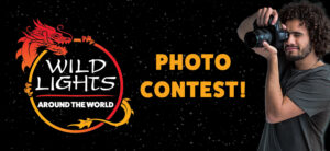banner - Wild Lights, Around The World, Photo Contest! with individual taking a photo with a camera