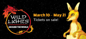 banner - Wild Lights, Around The World, March 10 - May 21, Tickets on sale! kangaroo graphic on banner
