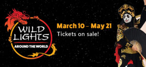 Banner - Wild Lights Around the World, March 10 - May 21, Tickets on sale. warrior graphic on banner