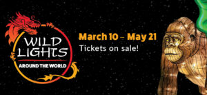 Wild Lights, Around The World, March 10 - May 21, Tickets on sale! gorilla graphic on banner