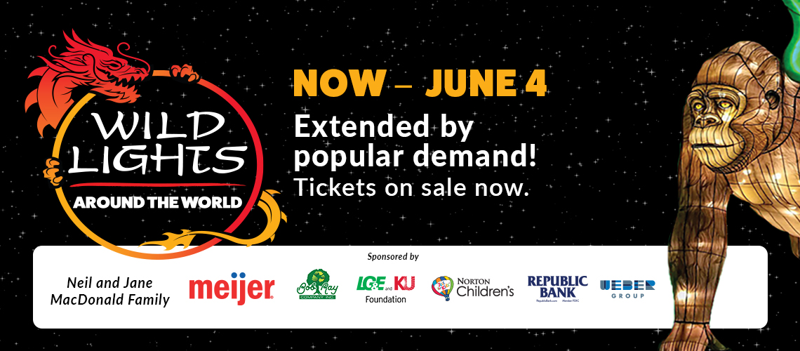 banner - Wild Lights, Around The World, Now-June 4, Extended by popular demand! Tickets on sale now., with logos at bottom for Neil and Jane MacDonald family, Meijer, Bob Ray Tree, LGEandKU Foundation, Norton Children's with just kids hot air balloon, Republic Bank, Weber Group, with grapic of Gorilla